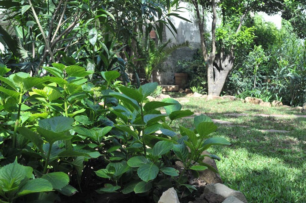 La Maison De Tanger ภายนอก รูปภาพ